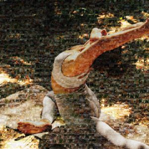 A photo mosaic depicting a person in a yoga pose, composed of numerous smaller images related to sports and wellness